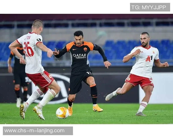 丹麦与波兰足球赛精彩直播全程回顾与分析 丹麦与波兰足球赛精彩直播全程回顾与分析